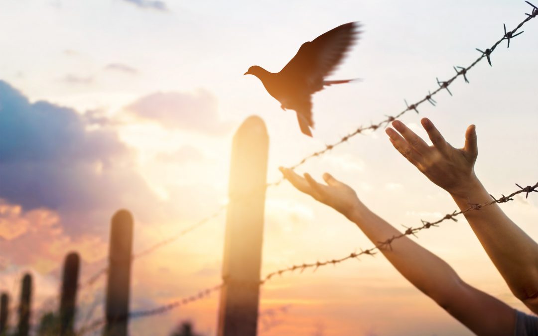 Mindset Shifts- How to Move Past Your Fear of Living on Purpose ...